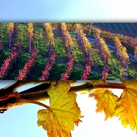 Hotel Ristorante I Castelli Hotell Alba (Piedmont)