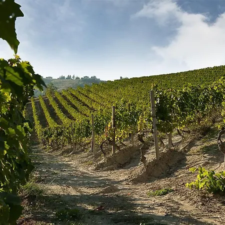 Hotell Hotel Ristorante I Castelli 4*