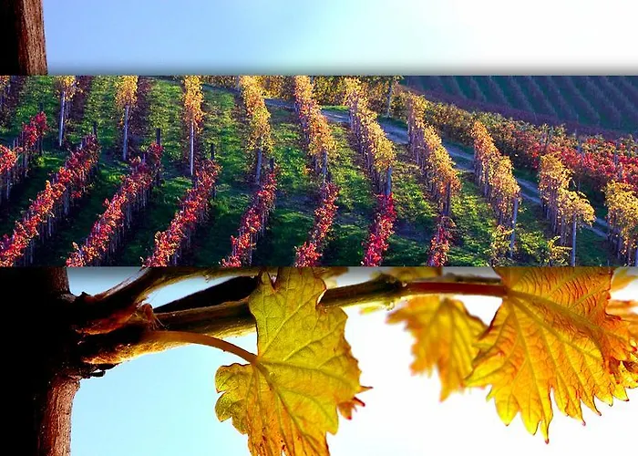 Ristorante I Castelli Hotel Alba (Piedmont)